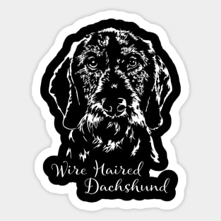 Wire Haired Dachshund dog portrait Sticker